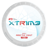 EXTREME_Artic_Mint_nordicpouch